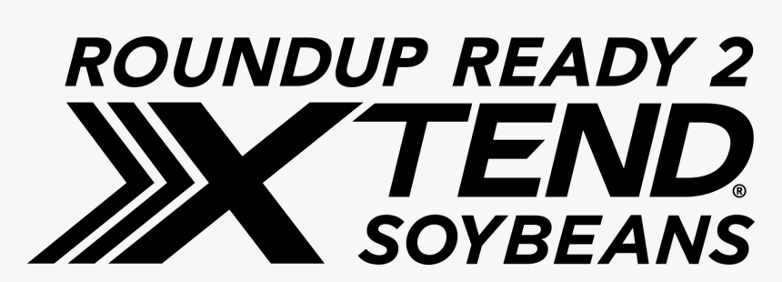 Soybeans Png, Transparent Png