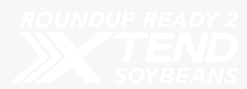 Soybeans Png, Transparent Png