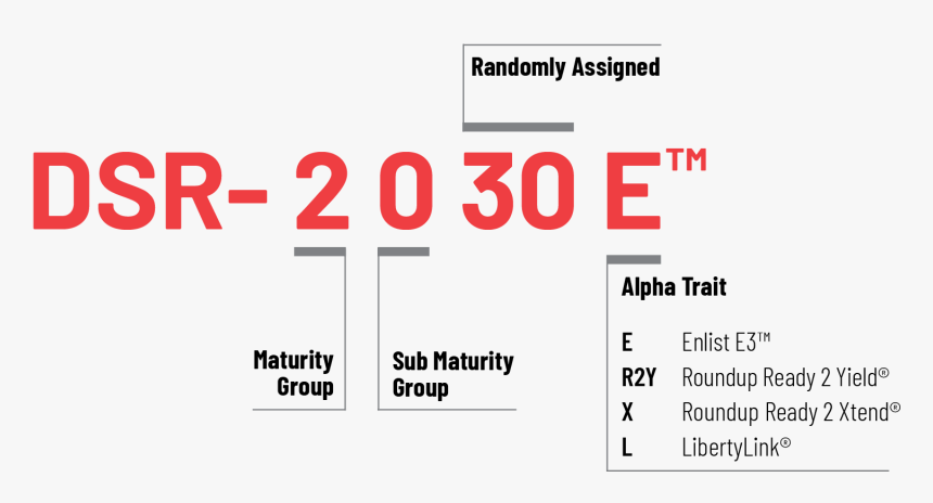 Soybeans Png, Transparent Png