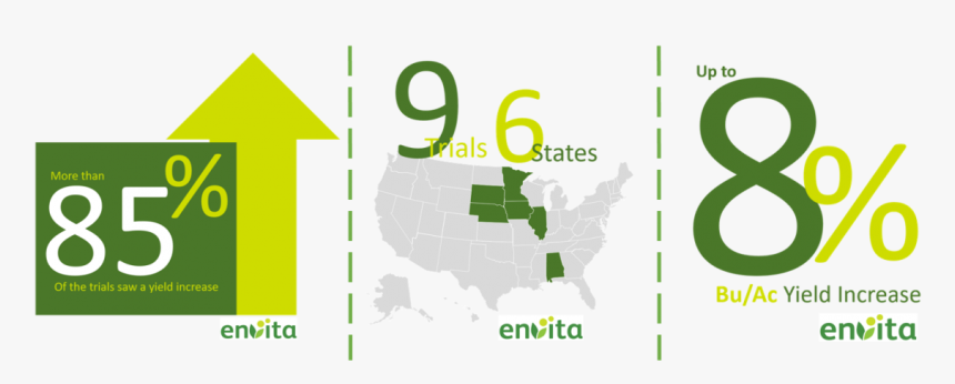 Soybeans Png, Transparent Png