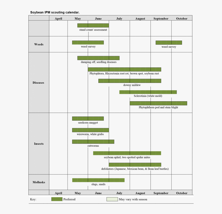 Transparent Soybeans Png, Png Download