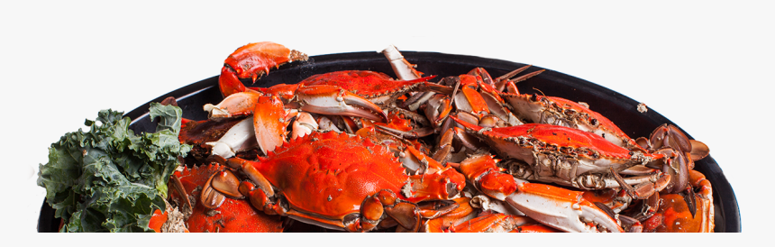 Dungeness Crab, HD Png Download