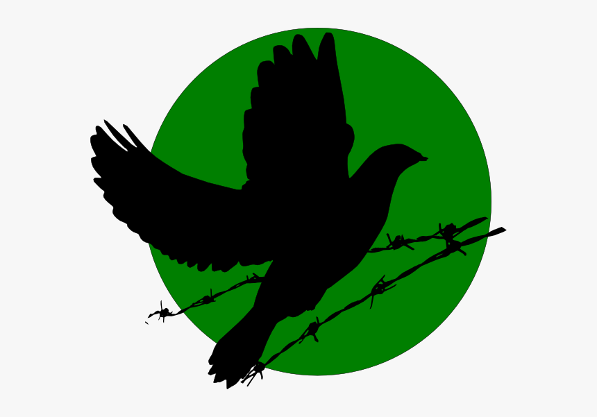 Dove Svg Clip Arts - Accipitridae, HD Png Download