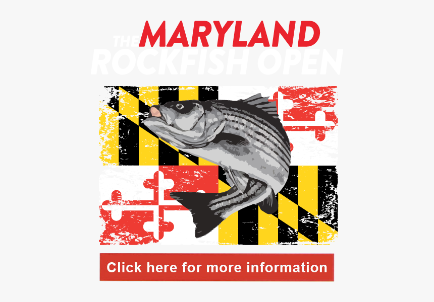 2019 Md Rockfish Open - Maryland State Flag, HD Png Download