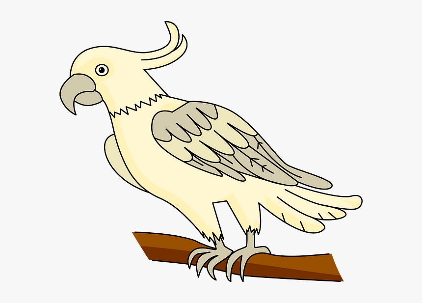 Sulphur-crested Cockatoo, HD Png Download
