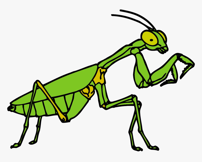 Free Clipart Praying Mantis , Png Download - Free Praying Mantis Clipart, Transparent Png