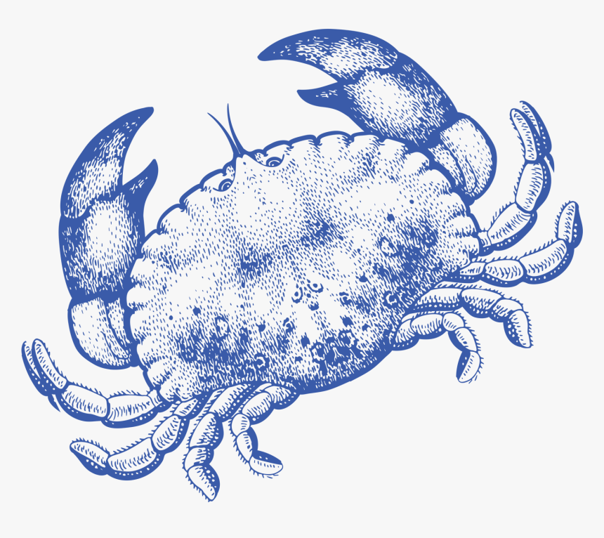 Cancer, HD Png Download