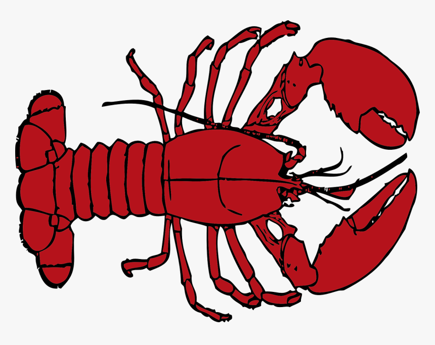 Crab Clipart Lobster - Free Lobster Clipart, HD Png Download