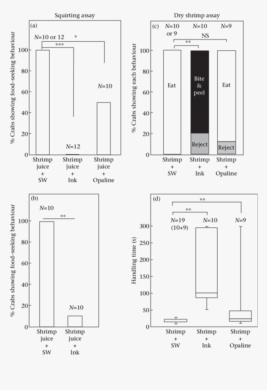 Diagram, HD Png Download