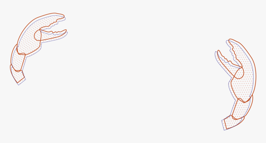 Bg Size Squarespace, HD Png Download