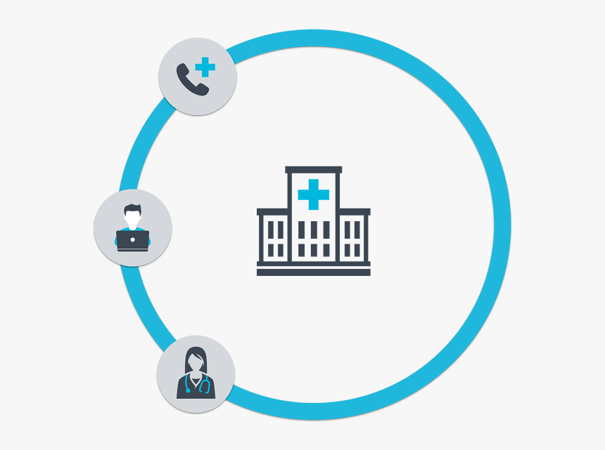 Transparent Dove, HD Png Download