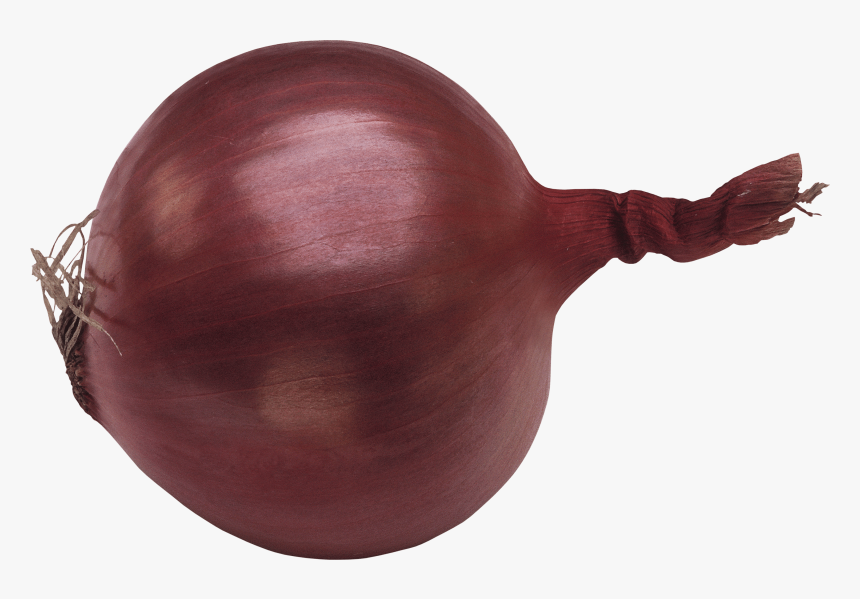 Red Onion - Красный Лук Пнг, HD Png Download