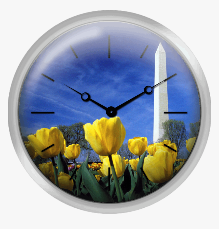 Tulips And The Washington Monument Washington Dc - Tulip, HD Png Download