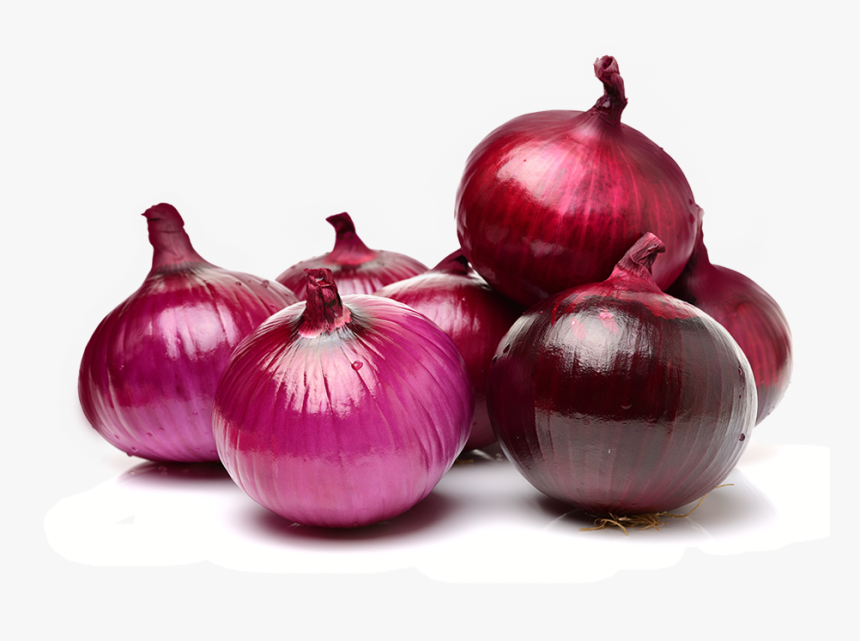 Transparent Onion Png - Red Onion, Png Download