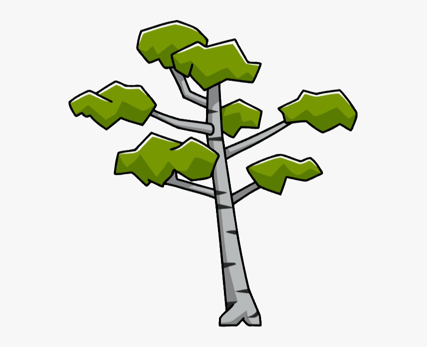 Birch Tree-0, HD Png Download