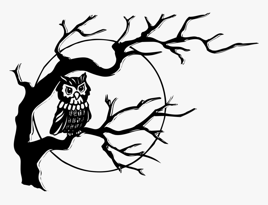 Birch - Clipart - Owl On Tree Drawing, HD Png Download