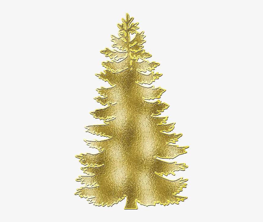 Zoom Diseño Y Fotografia - Pine Trees Svg, HD Png Download