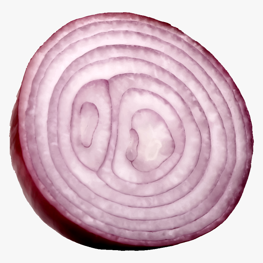 Onion Png, Transparent Png