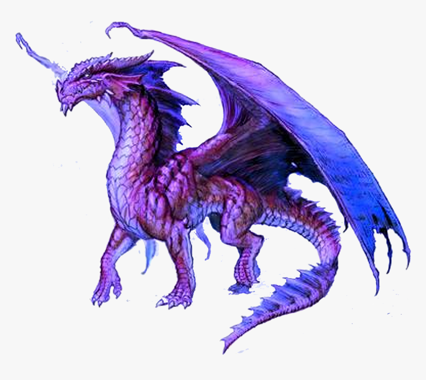 Download Dragon Png - Purple Dragons, Transparent Png