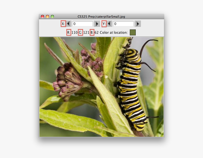 Explorer - Alypia Octomaculata, HD Png Download