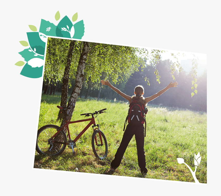 About Treevitalise Organic Birch Water - Ejercicio Primavera, HD Png Download