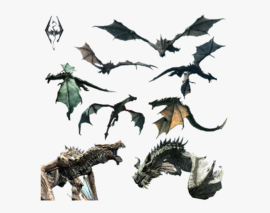 Elder Scrolls V: Skyrim, HD Png Download