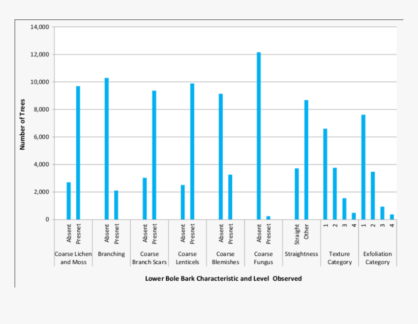 Harga Pertalite, HD Png Download