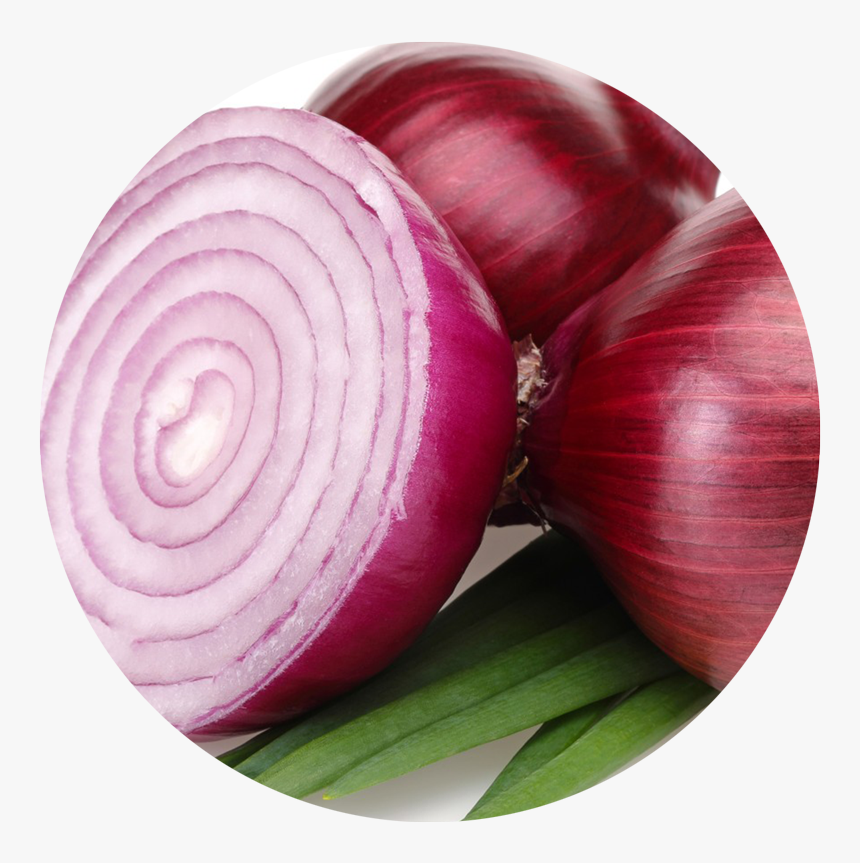 Red onion api download