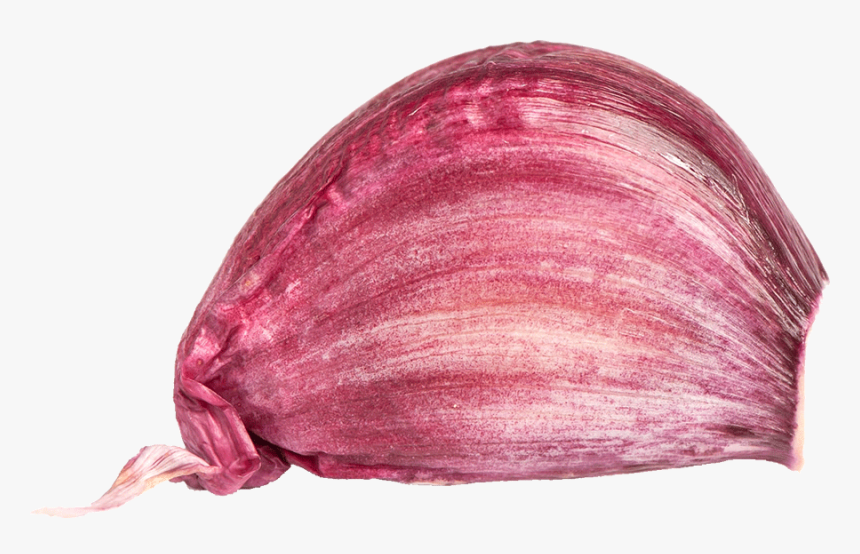 Red Onion, HD Png Download