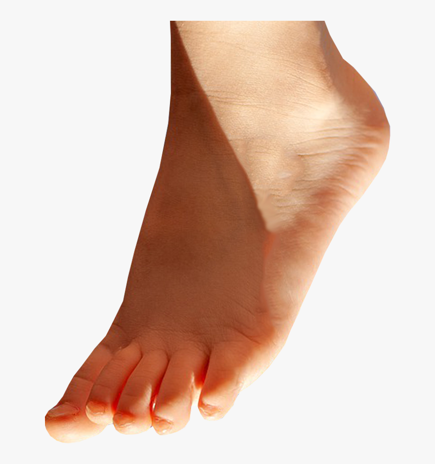 Foot Pointing Down - Transparent Background Feet Png, Png Download