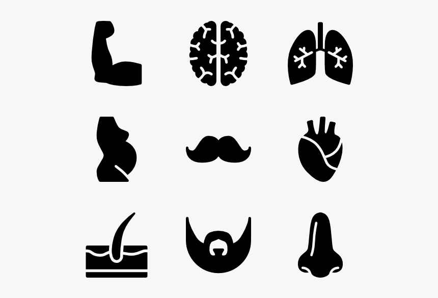 Anatomy - Police Icons, HD Png Download