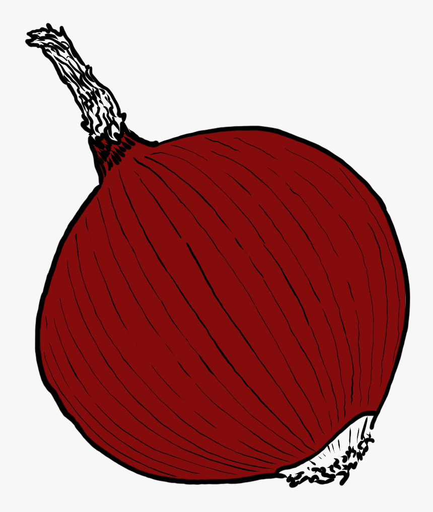 Single Onion Png Image - Illustration, Transparent Png