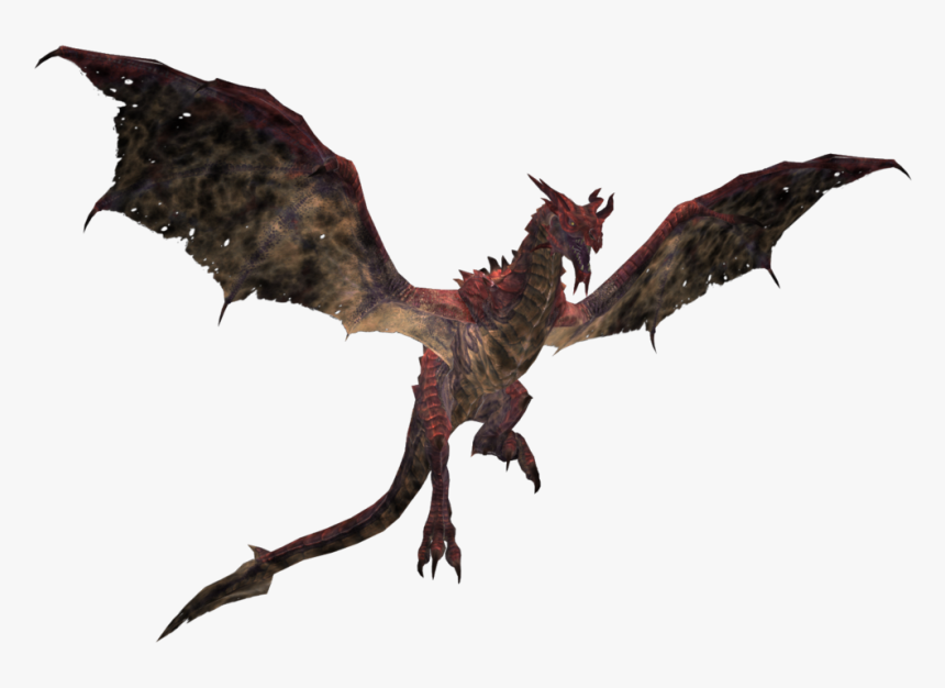 Dragon Png - Dragon Skyrim Png, Transparent Png