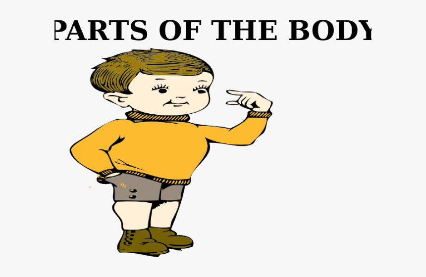 Transparent Png Body Parts - Part Of Body Png, Png Download
