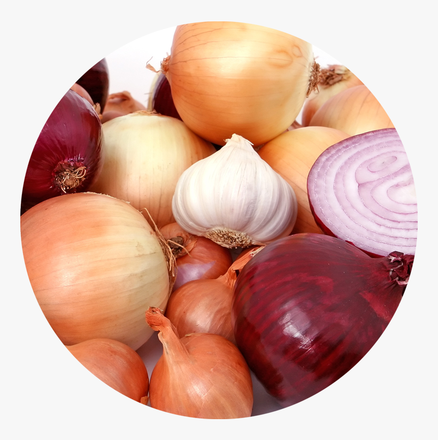 Aglio E Cipolle, HD Png Download