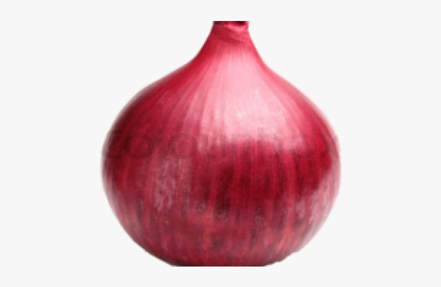 Onion Png Transparent Images - Red Onion, Png Download