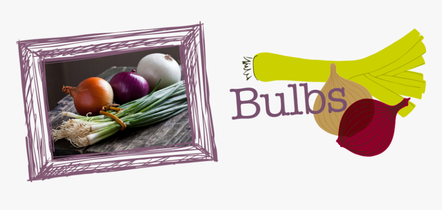 Bulbs-2 - Design, HD Png Download