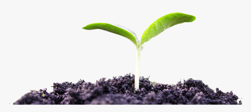 Independence Day Go Green, HD Png Download