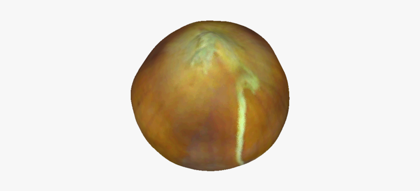 Fruit, HD Png Download