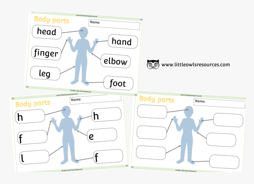 Body Parts Posters Cover - Cartoon, HD Png Download