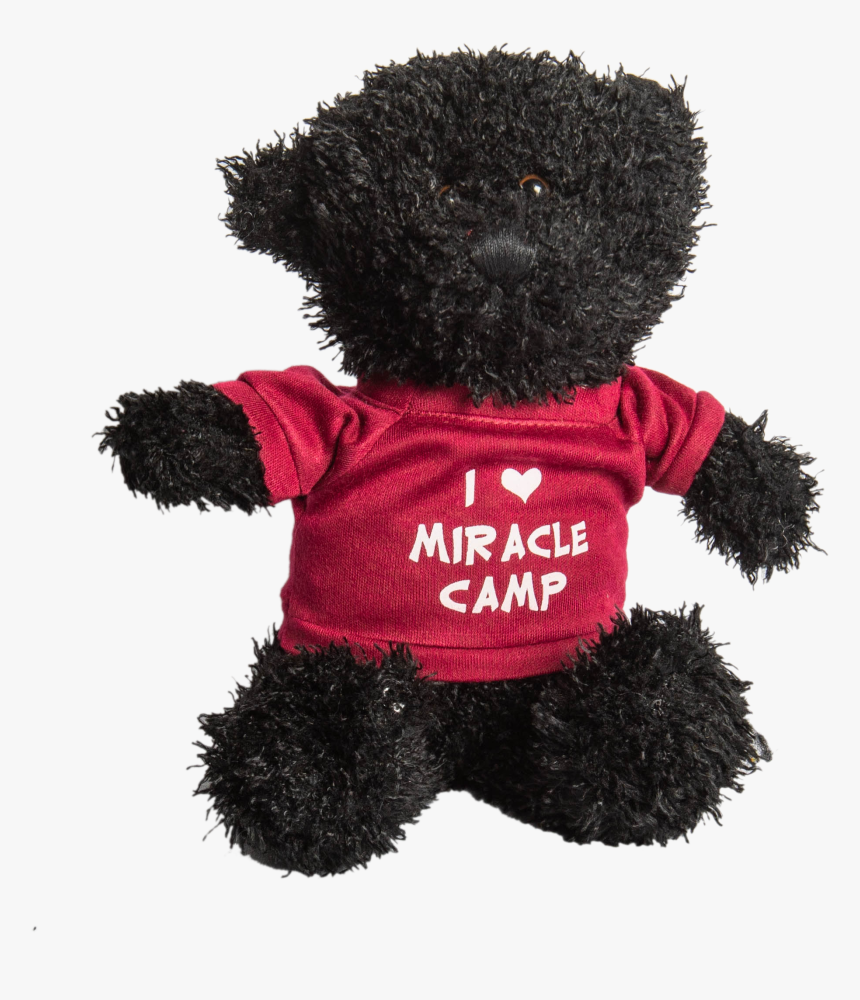 Teddy Bear, HD Png Download