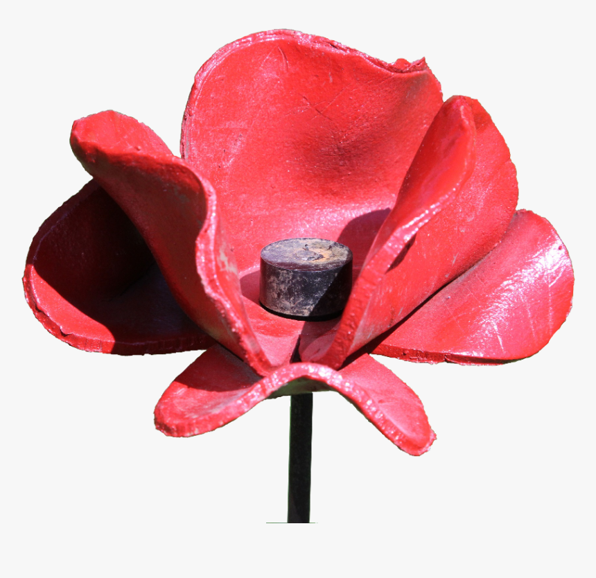 George Nosworthy S Life And War - Artificial Flower, HD Png Download