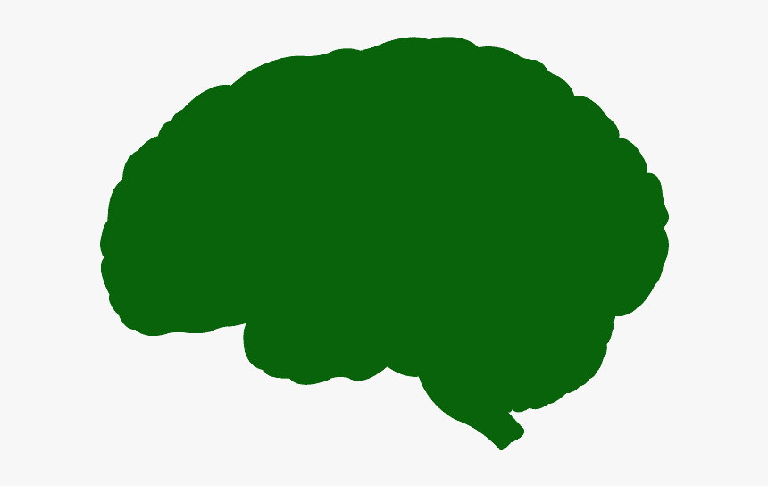 Cerebro Silhueta Png, Transparent Png