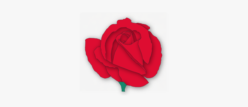 Garden Roses, HD Png Download