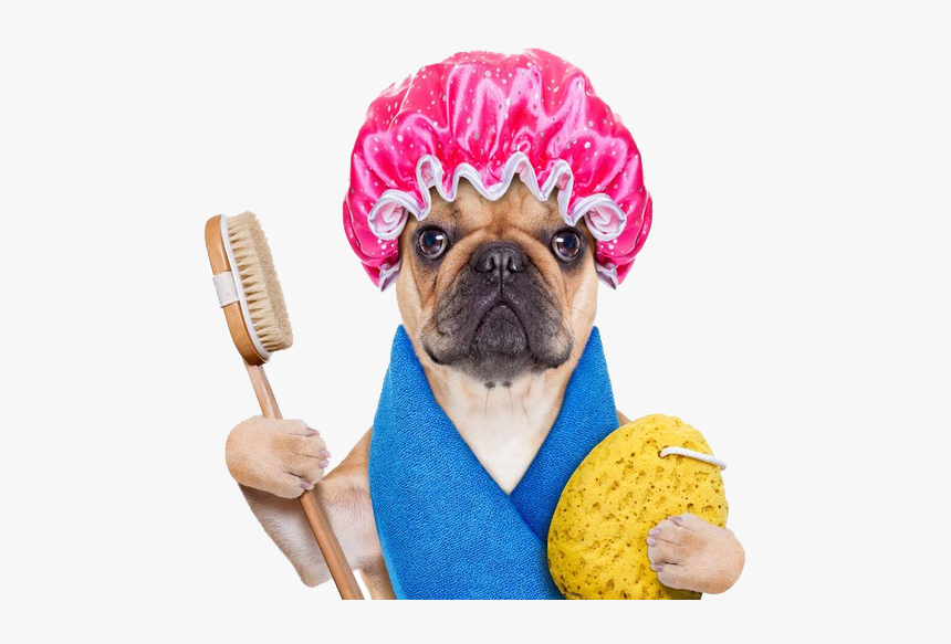 Cute Towel Funny Personnel Dog Bath Hot Clipart - Dog Having A Shower, HD Png Download