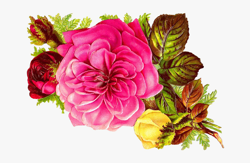 Transparent Small Group Clipart - Digital Flowers, HD Png Download