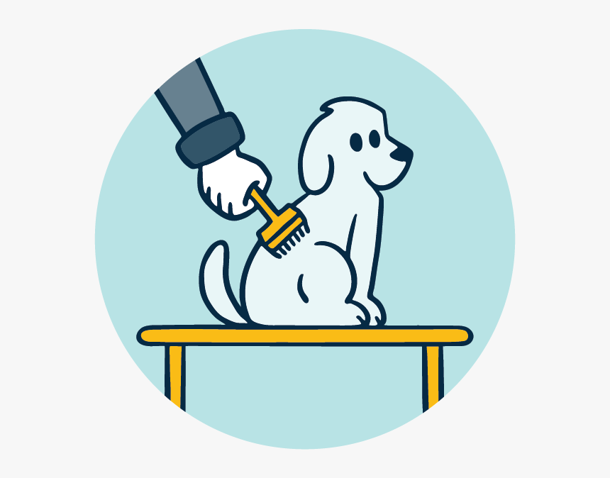 Spaw Groom Hand - Cartoon, HD Png Download