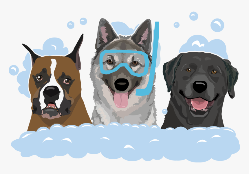 Ashley S Waggin - Dog Grooming Png, Transparent Png