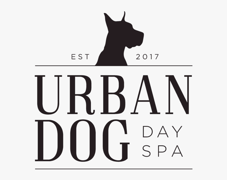 good dog day spa