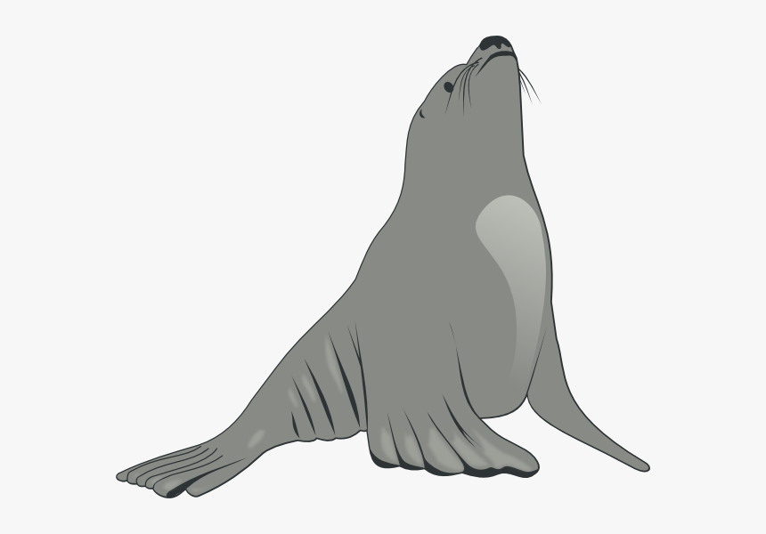 Valessiobrito Sea Lion Svg Clip Arts - Sea Lion Clipart, HD Png Download